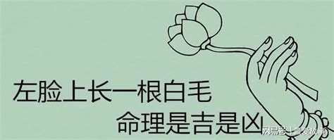 臉頰長一根白毛|身上有一根毛特別長，是長壽象徵，還是癌變前兆？